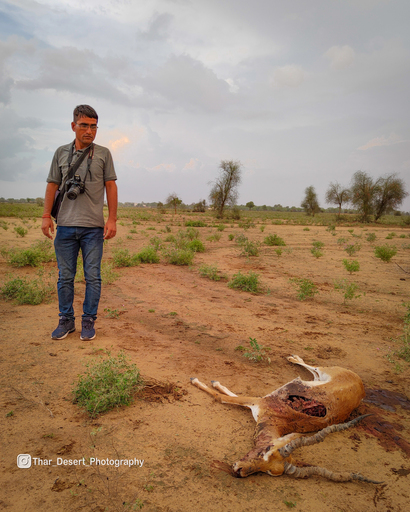 Dhawa Doli Wildlife santuary 