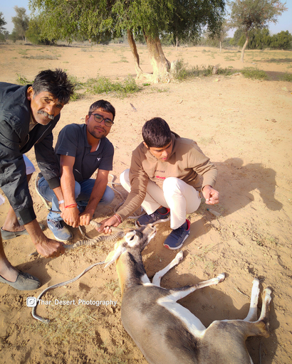 Dhawa Doli Wildlife santuary 