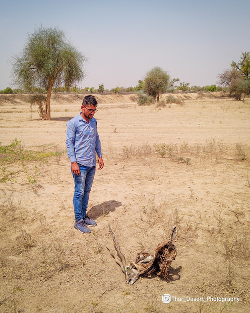 Dhawa Doli Wildlife santuary 