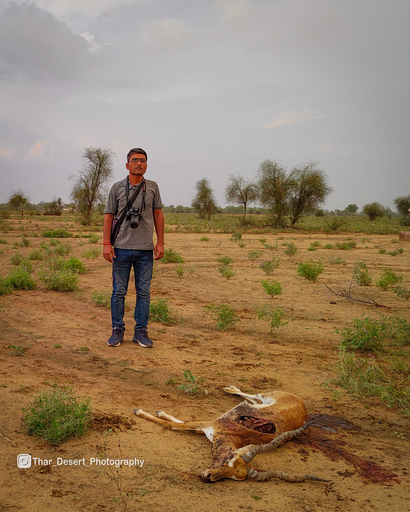 Dhawa Doli Wildlife santuary 