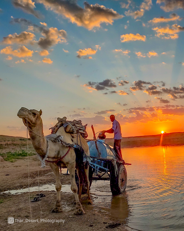 Dhawa Doli Wildlife santuary 