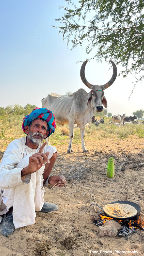 Dhawa Doli Wildlife santuary 