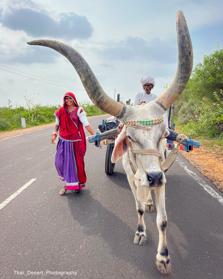 Dhawa Doli Wildlife santuary 