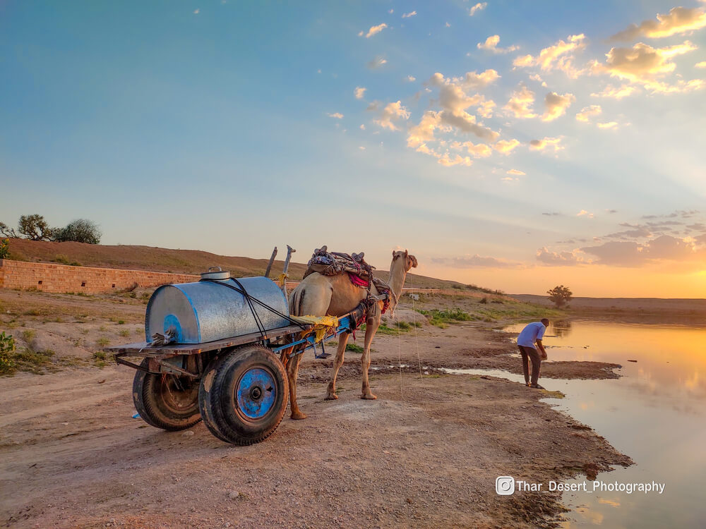 Dhawa Doli Wildlife santuary 