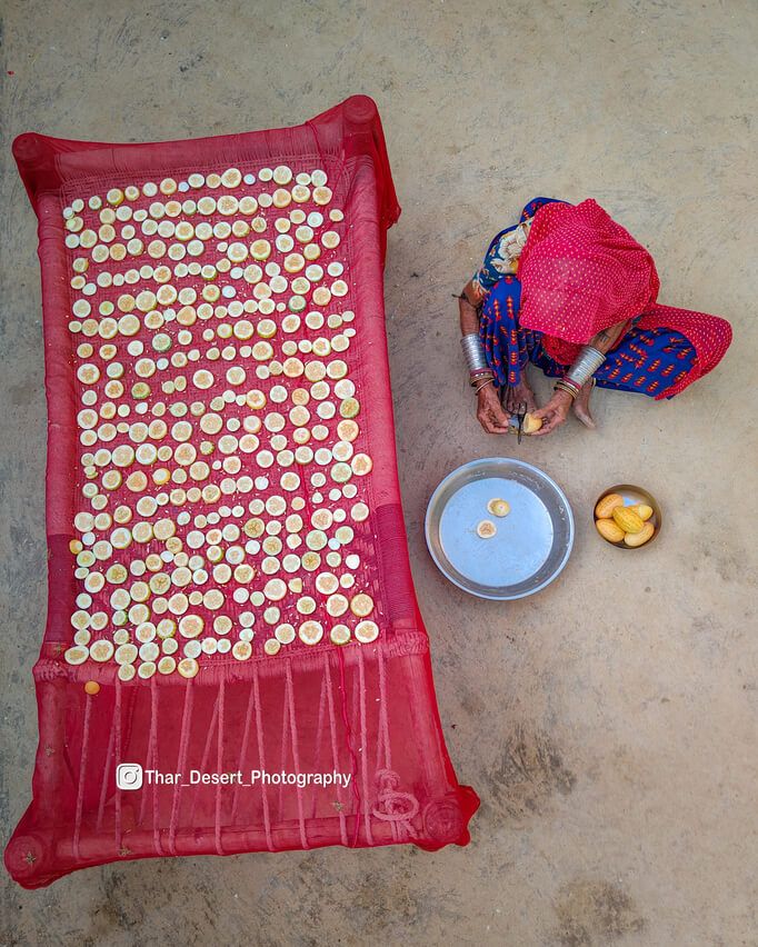 Dhawa Doli Wildlife santuary 